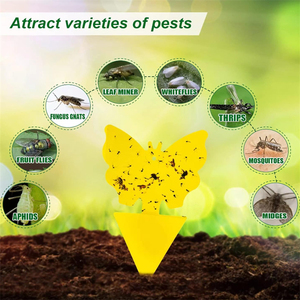 Non-toxic Irregular <b>Pest</b> Sticky Board Outdoor Indoor Flying Insect Trap - Product Image 6