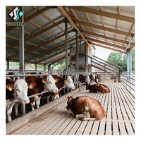 Bâtiment de ferme de vache en acier à faible coût Structure en acier Maison de construction de ferme de vache avec prix d'usine