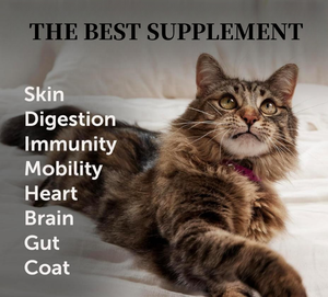 Gâteries multi-vitaminées à mâcher croquantes et crémeuses <span class=keywords><strong>pour</strong></span> <span class=keywords><strong>chat</strong></span> avec oméga 3 <span class=keywords><strong>lysine</strong></span> et probiotiques <span class=keywords><strong>pour</strong></span> <span class=keywords><strong>la</strong></span> santé et le soutien immunitaire et articulaire du <span class=keywords><strong>chat</strong></span> - Product Image 3