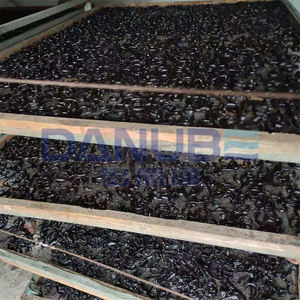 Excelente secadora de insectos Mealworm Black Soldier Fly Larvae Dryer Bsf Secadora - Product Image 5