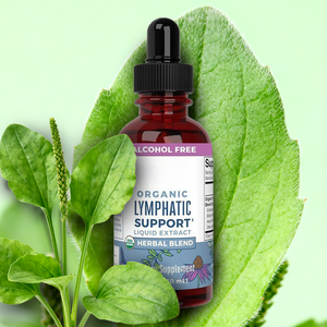 Holunder tropfen mit anti oxidativer Wirksamkeit Lymphdrainage-Unterstützung und Echinacea Natural Health <span class=keywords><strong>Supplement</strong></span> - Product Image 3