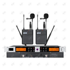 Sistema de Micrófono Inalámbrico de 2 Canales HP-2000, Alimentado por Baterías AA, Conector XLR, para Discoteca/Bar/Club/Uso Doméstico - Product Image 2
