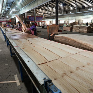 رقائق سوداء 1220x2440mm18mm تواجه الخشب الرقائقي في الهواء الطلق - Product Image 5