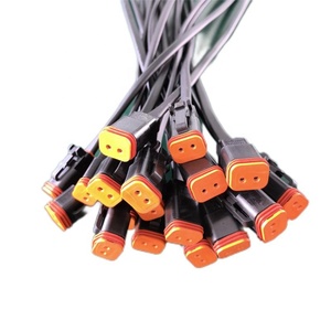 DT 2 Pin wanita Konektor otomotif mobil tahan air kawat Harness produsen - Product Image 1