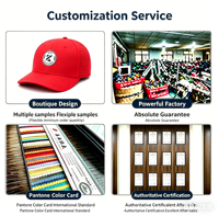 Gorra de Béisbol Personalizada de 6 Paneles, Estructurada, 100% Poliéster, Impermeable, con Perforaciones Cortadas a Láser, Secado Rápido, Unisex, Ajustable, Deportiva