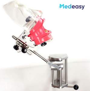 Modèle de tête de simulation <span class=keywords><strong>dentaire</strong></span>, mannequin <span class=keywords><strong>dentaire</strong></span>, têtes de modèle de pratique <span class=keywords><strong>dentaire</strong></span> - Product Image 6