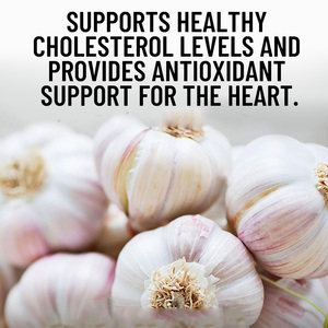 OEM ODM Private label Garlic Oil Soft Capsule Non‑GMO Natural Garlic Extract Support Immune Wellness Dietary <b>Supplement</b> Capsules - Product Image 3