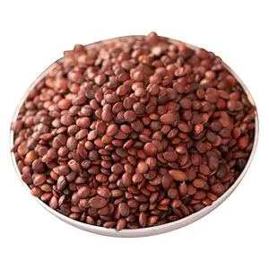 Erva chinesa tempero selvagem natural seco cru Semen Ziziphi Spinosa suan zao ren Chinês Red Date Powder Wild Jujube Seed