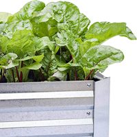 Le rectangle en acier galvanisé par couleur argentée a augmenté le planteur de lit de jardin pour des plantes de fruits de légumes