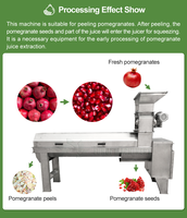 Fruitverwerkingsfabriek, productielijn voor granaatappelsap, machine voor het wassen, pellen en sap maken van granaatappels