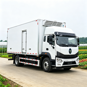 Camión Refrigerado Eléctrico Puro 4x2 <span class=keywords><strong>con</strong></span> Transmisión Manual, Alta Eficiencia, Confiabilidad, Control Preciso de Temperatura, Euro 3 - Product Image 3