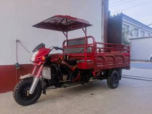Motocicleta de Tres Ruedas a Gasolina de 201-250cc, Vehículo de Carga con Capacidad para 1 Pasajero - Product Image 1