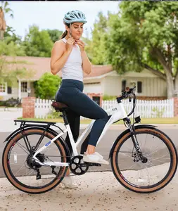 MEIGI快速交货美国库存城市电动自行车750瓦电机2座城市电动自行车27.5英寸MTB Ebike，免费送货