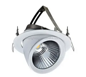 24度光束角柜环绕发光二极管筒灯AC230v 30w可调光发光二极管筒灯