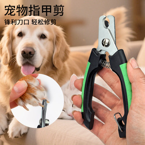 <b>Pet</b> Nail <b>Clippers</b> Stainless Steel Easy To Use <b>For</b> Dogs Cats Grooming Tools - Product Image 2