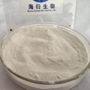 Suplementos Nutricionales para la Salud y Bienestar, Extracto de Ñame Chino 10:1 en Polvo para Adultos, Empaque Personalizable - Product Image 4