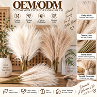 Promo Panas Rumput Pampas Kering Berkualitas Tinggi Bunga dan Tanaman Kering Buatan Rumput Pampas Buket Dekorasi Boho Grosir