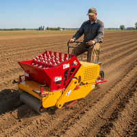 Petite planteuse d'ail automotrice pour l'ail de type sud et les lits de culture mulchés