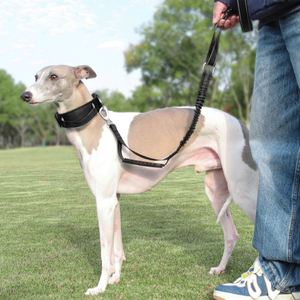 Laisse pour chien tactique robuste en nylon de haute qualité avec 2 poignées rembourrées, laisse anti-traction solide, ceinture de sécurité de voiture réfléchissante - Product Image 6