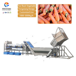 Máquina de lavado y clasificación de hortalizas de raíz (zanahorias, rábanos) con línea de procesamiento personalizada de 1000-5000 kg para fábricas de frutas, zanahorias y remolachas - Product Image 2