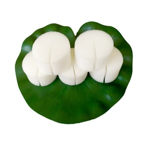 45 # Sistema de jardín hidropónico Vertical para cultivo de plantas de interior, invernadero, lechuga hidropónica, esponja de germinación de espuma para plantas - Product Image 5