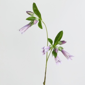 <span class=keywords><strong>Campanula</strong></span> Artificiale <span class=keywords><strong>in</strong></span> Seta Viola Stampata <span class=keywords><strong>in</strong></span> 3D, Decorazione Moderna per <span class=keywords><strong>Giardino</strong></span> e Casa, Regalo per Matrimoni, Affari e Relazioni Pubbliche, Carillon a Vento - Product Image 6