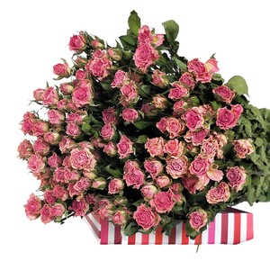 Commercio all'ingrosso più testa a secco di Rose naturali su misura <span class=keywords><strong>Mini</strong></span> mazzo di Rose secche naturali con gambo - Product Image 3