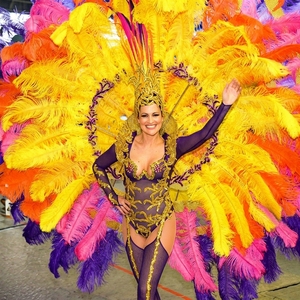 Plumes d'autruche teintées sur mesure pour la décoration de <span class=keywords><strong>carnaval</strong></span>, de festival, de mariage et de fête - Product Image 5