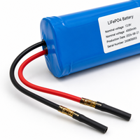 Batteries lithium-ion 12,8 V 4 Ah, pack de batteries LiFePO4 avec coque en PVC, pour la sauvegarde d'alimentation des systèmes de communication et l'alimentation des onduleurs