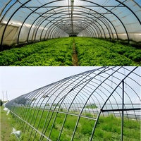 Serre agricole à tunnel unique économique pour hydroponie et culture de fraises, avec structure et film PE