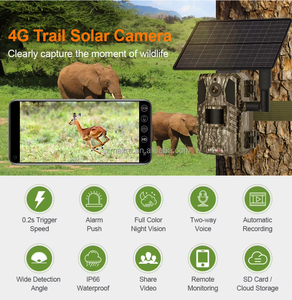 Gran oferta 4G Mini Cámara camuflaje MC-4G01 1080P visión nocturna detección de movimiento IP66 impermeable hogar seguridad al aire libre - Product Image 2