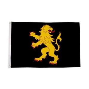 Drapeau GWENT de haute qualité, drapeau extérieur personnalisé 3x5 pieds, bannière imprimée simple face, design personnalisé, drapeau de bienvenue pour la cour - Product Image 5