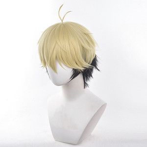 Venta al por mayor enlace haga clic en Cosplay 35cm <span class=keywords><strong>corto</strong></span> <span class=keywords><strong>rubio</strong></span> <span class=keywords><strong>y</strong></span> Negro mixto Xiafei peluca sintética Anime resistente al calor pelo Cosplay peluca - Product Image 4