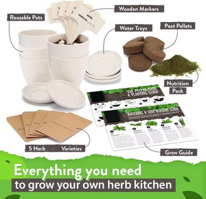 Kit de démarrage pour le jardinage à domicile, mini cuisine <span class=keywords><strong>bio</strong></span>, fenêtre, <span class=keywords><strong>jardin</strong></span> avec pots, fonction pot de fleur - Product Image 2