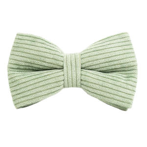 Juego de <span class=keywords><strong>5</strong></span> piezas de collares de perro para perros medianos Juego de correa para mascotas La correa de perro de lujo verde se puede personalizar con LOGOTIPO de espalda de pecho - Product Image 5