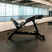 Banc de musculation portable et réglable avec fonctions de sécurité pour haltères et entraînement de force