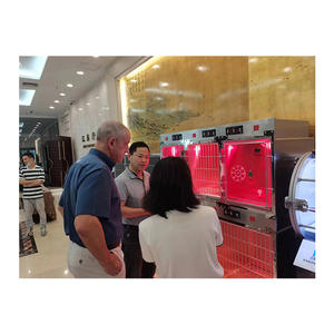 Pujia PJDY-06 paslanmaz çelik veteriner kızılötesi sıcak ışık oksijen kafesi veteriner kliniği için - Product Image 5