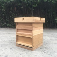 Ruche nationale britannique de haute qualité pour la boîte d'équipement apicole ruche à 3 couches avec fermes de couverture en fer galvanisé
