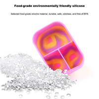 Boîte à lunch en silicone de qualité alimentaire multicolores, compatible micro-ondes, boîte de conservation des aliments, boîte à lunch résistante au micro-ondes