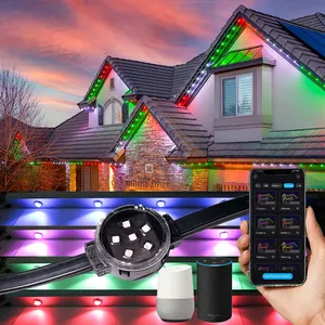 Outdoor Waterproof IP68 Permanent Led Christmas Lights For House DC24V RGB Led Point Lights