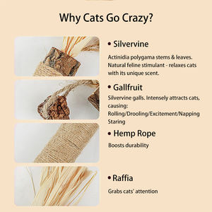 Silver Vine Mainan Kucing Catnip Interaktif Berkualitas Tinggi Grosir Lucu 2025 Aksesoris Baru Grosir Tongkat Penggaruk - Product Image 5