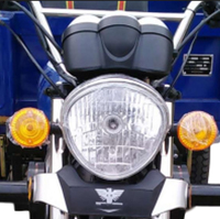 Moto à essence 150cc Tricycle cargo à trois roues Boîte de vitesses automatique Moto cargo