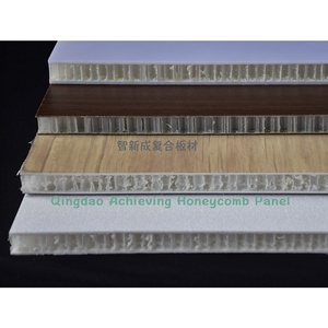 Panel de sándwich de plástico con núcleo de panal, reductor de sonido para alquiler de baño y paneles de pared interiores - Product Image 3