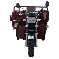 Motorcycle Reverse Trike, Petrol Chinese Model