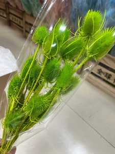 Tiges de chardon (Eryngium) séchées et préservées, fleurs séchées faites à la main, longue durée (3-5 ans), pour la fête des mères, la remise des diplômes, le Nouvel An - Product Image 5