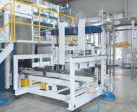 Palettiseur de boîtes de conserve en acier inoxydable LWT pour usine de conserves de cornichons, 2600 boîtes par heure avec contrôle par écran tactile Siemens PLC