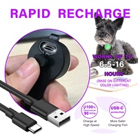 UMIONE BSCI Factory Audit Nouveau Design Accessoires pour chiens Lumière rechargeable pour animaux de compagnie Pendentif LED lumineux rond pour la sécurité des chiens en extérieur