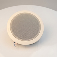 Speaker Sistem PA Dalam Plafon dengan Grill Besi Tahan Lama, Sistem Audio Rumah Model Flush Mount, Musik Latar Belakang Bulat