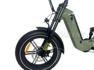Green Assit 20Inch Fat Tyre Ebike 48V 250-1000 Road With Low Step Thru <b>Frame</b> - Product Image 2
