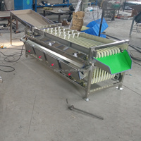 Orbitale Fruitsorteermachine Oranje Walnoot Sorteerder Sizer Grader Tomaat Mangosteen Walnoot Sorteermachine